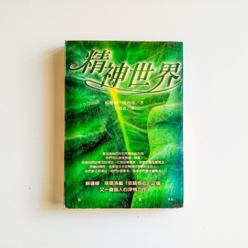 精神世界