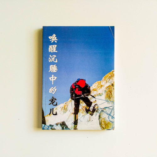 喚醒沉睡中的寵兒