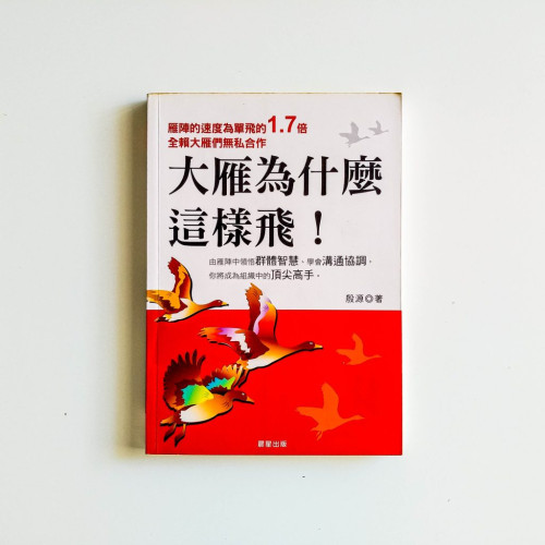 大雁為什麼這樣飛！
