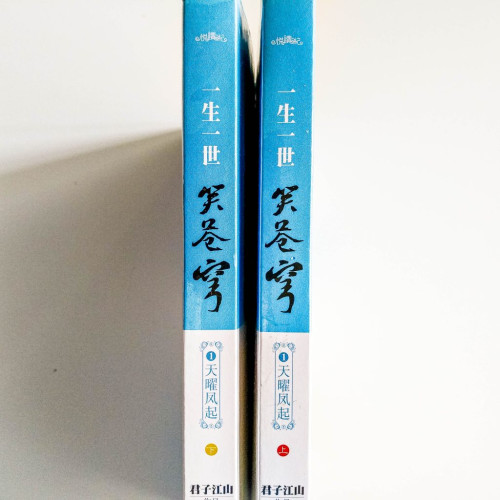 一生一世笑蒼穹:天曜風起(2冊) 一生一世笑蒼穹:天曜風起(2冊)