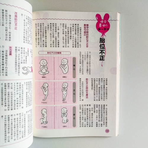 日本第一胎內記憶婦產科醫師寫給準媽媽的安產書 日本第一胎內記憶婦產科醫師寫給準媽媽的安產書