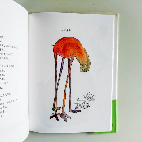稀奇古怪動物園