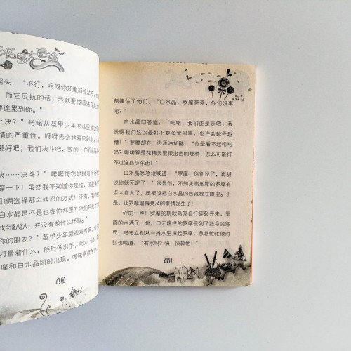 夢幻小公主5：彩虹島大冒險