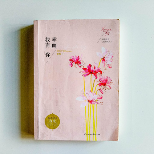 幸而我有你 幸而我有你