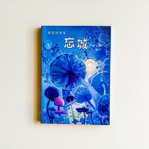 忘城 忘城