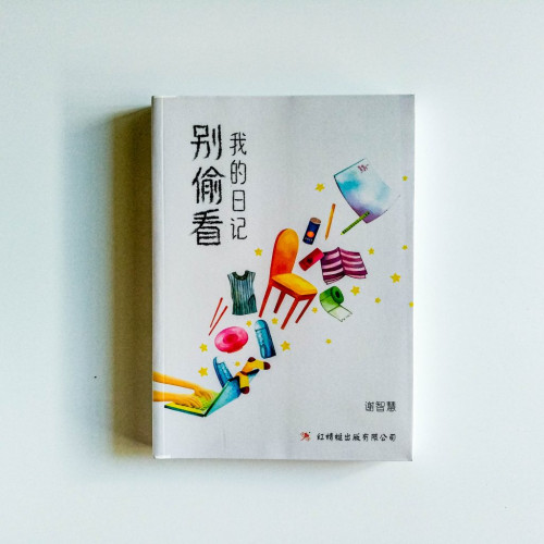 別偷看我的日記 別偷看我的日記