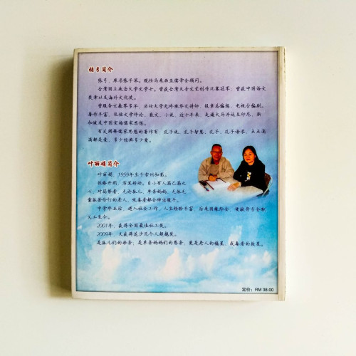 千萬個愛：葉麗娟從家到老人院