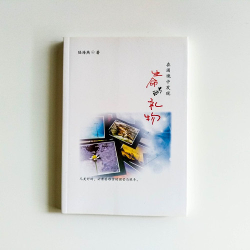 在困境中發現生命的禮物 在困境中發現生命的禮物