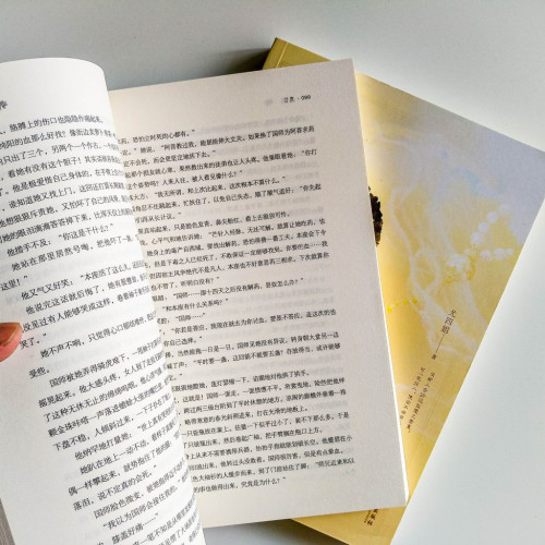 臨淵(2冊) 臨淵(2冊)