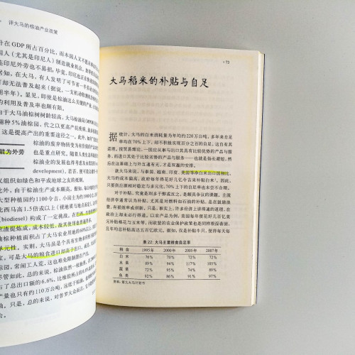 尷尬的大馬經濟 尷尬的大馬經濟