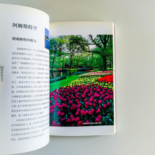 理性的光芒 理性的光芒