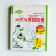 我的第一本天然保養自造書 我的第一本天然保養自造書