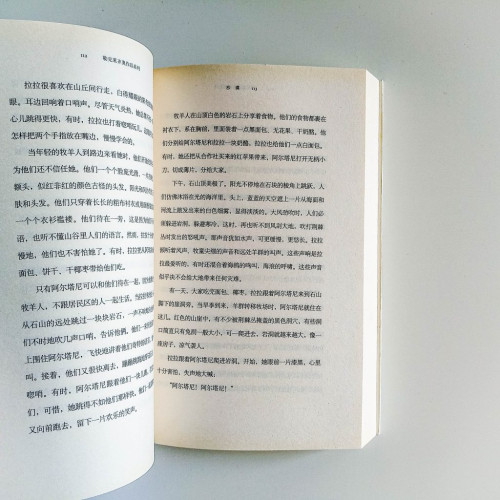 沙漠 沙漠