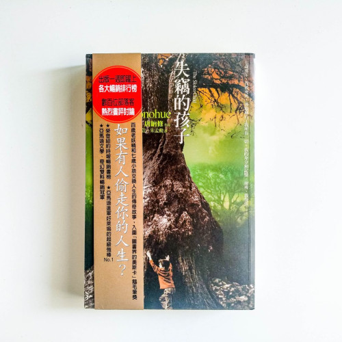 失竊的孩子 失竊的孩子