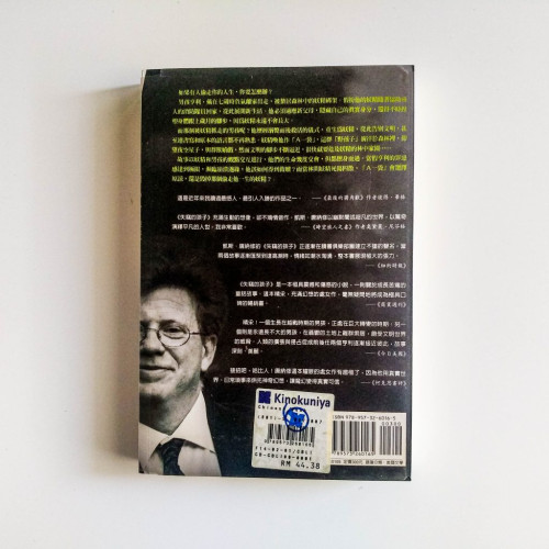 失竊的孩子 失竊的孩子