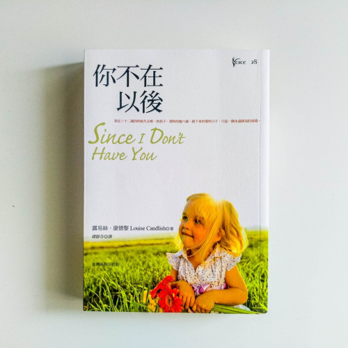 你不在以後 你不在以後