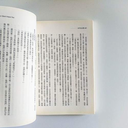你不在以後 你不在以後