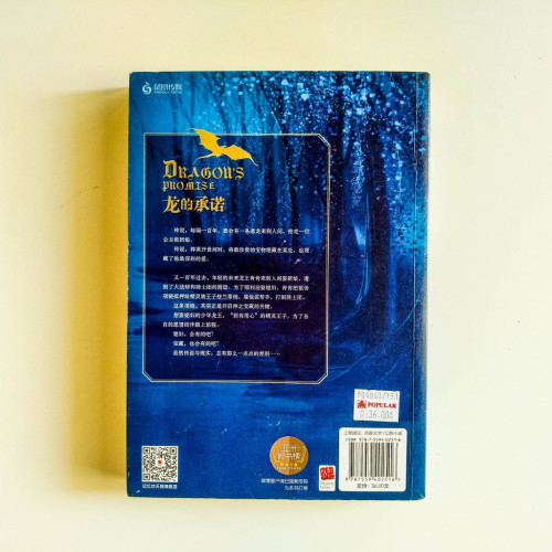龍的承諾 龍的承諾