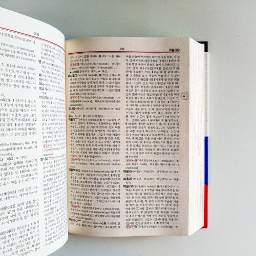 專門為外國人編寫的初級韓國語學習詞典