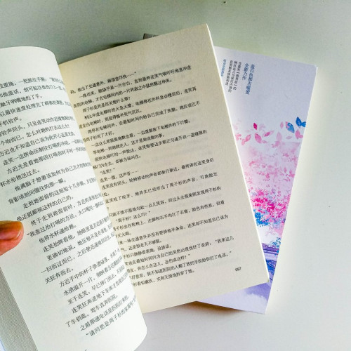 致姍姍來遲的你(2冊) 致姍姍來遲的你(2冊)