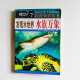 發現水世界水族萬象 發現水世界水族萬象