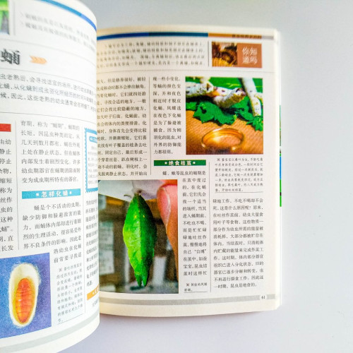 昆蟲世界大百科 昆蟲世界大百科