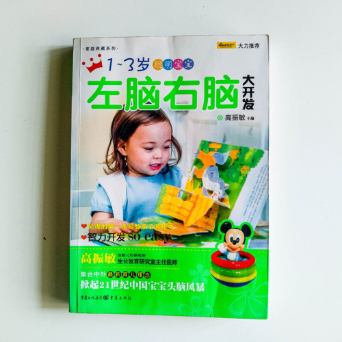 1-3歲聰明寶寶:左腦右腦大開發 1-3歲聰明寶寶:左腦右腦大開發