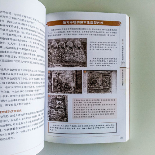圖解釋迦牟尼:認識佛陀的大智慧 圖解釋迦牟尼:認識佛陀的大智慧