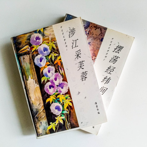 中文系文學系列(2冊) 中文系文學系列(2冊)