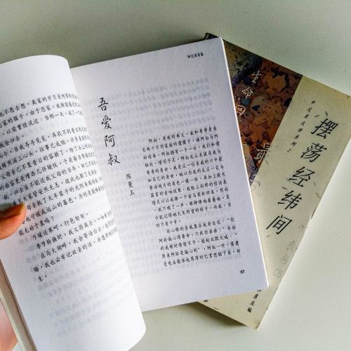 中文系文學系列(2冊) 中文系文學系列(2冊)