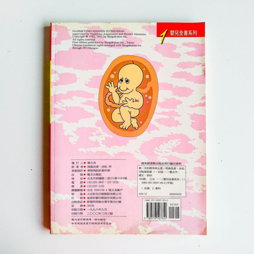 第一次的懷孕與生產 第一次的懷孕與生產