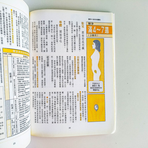 第一次的懷孕與生產 第一次的懷孕與生產