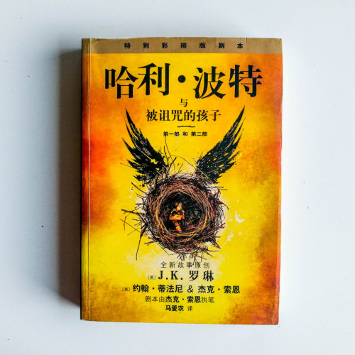 哈利波特與被詛咒的孩子 哈利波特與被詛咒的孩子