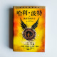 哈利波特與被詛咒的孩子 哈利波特與被詛咒的孩子