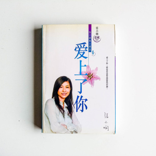 愛上了你 愛上了你
