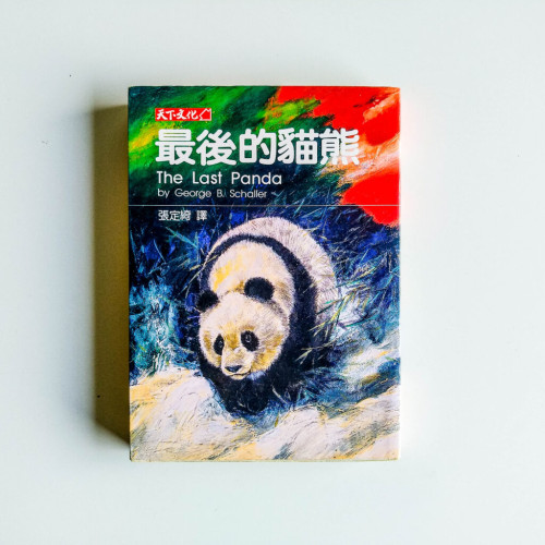 最後的熊貓 最後的熊貓