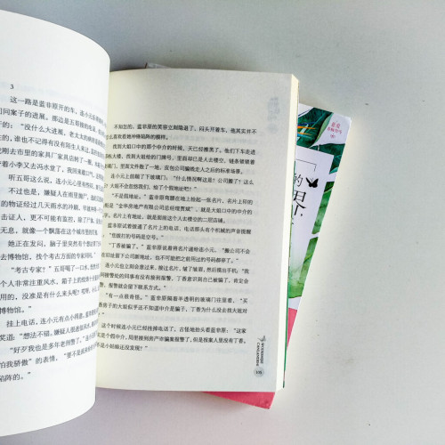 我的世界燦爛的你(2冊) 我的世界燦爛的你(2冊)