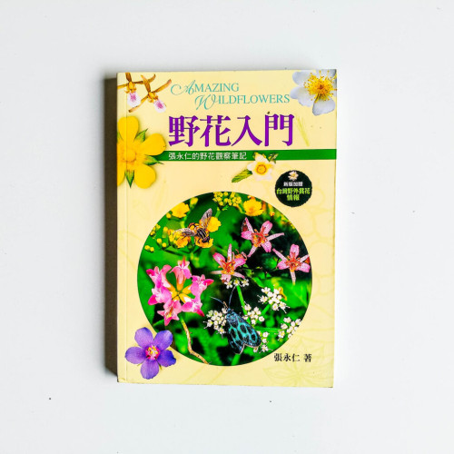 野花入門 野花入門