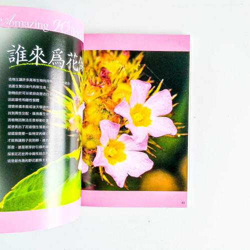 野花入門 野花入門