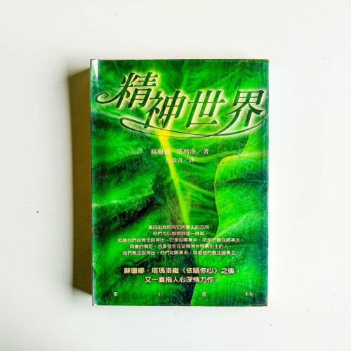 精神世界 精神世界
