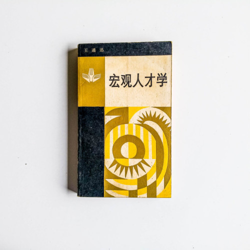 宏觀人才學 宏觀人才學