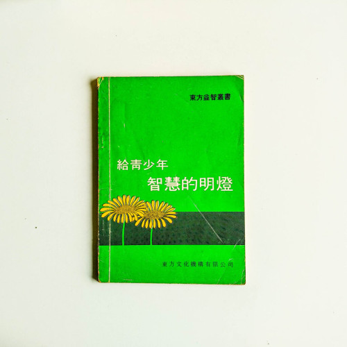 給青少年智慧的明燈 給青少年智慧的明燈