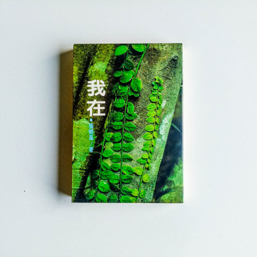 我在 我在