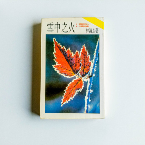 雪中之火 雪中之火