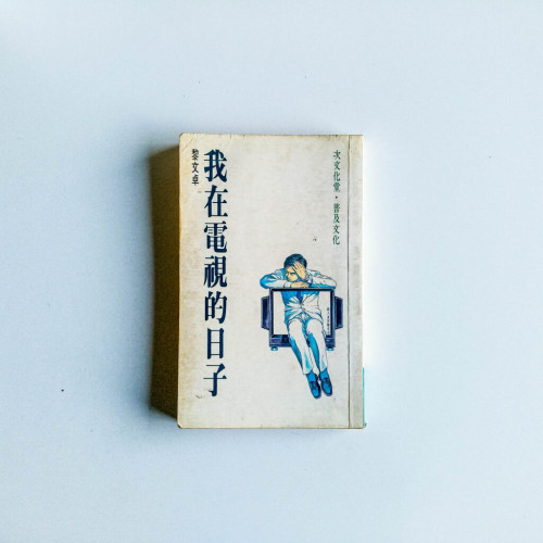 我在電視的日子 我在電視的日子