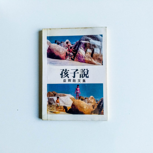 孩子說:盛輝散文集 孩子說:盛輝散文集