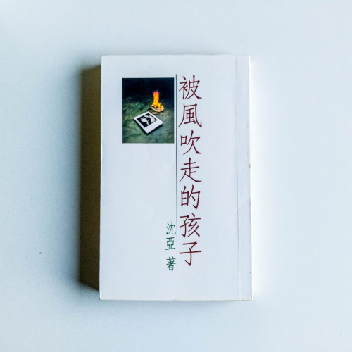 被風吹走的孩子 被風吹走的孩子