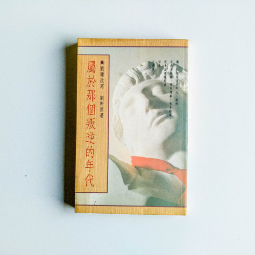 屬於那個叛逆的年代 屬於那個叛逆的年代