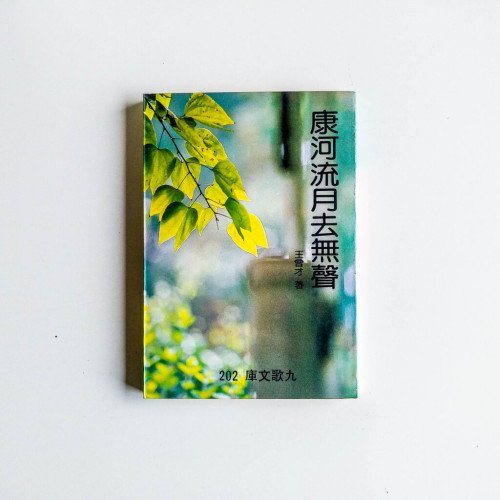 康河流月去無聲 康河流月去無聲