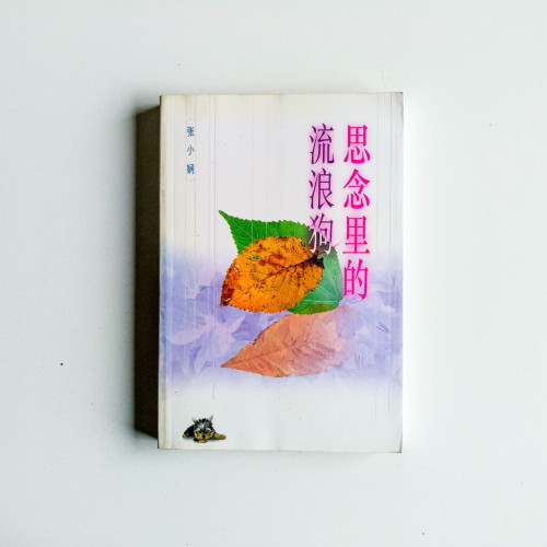 思念裡的流浪狗 思念裡的流浪狗